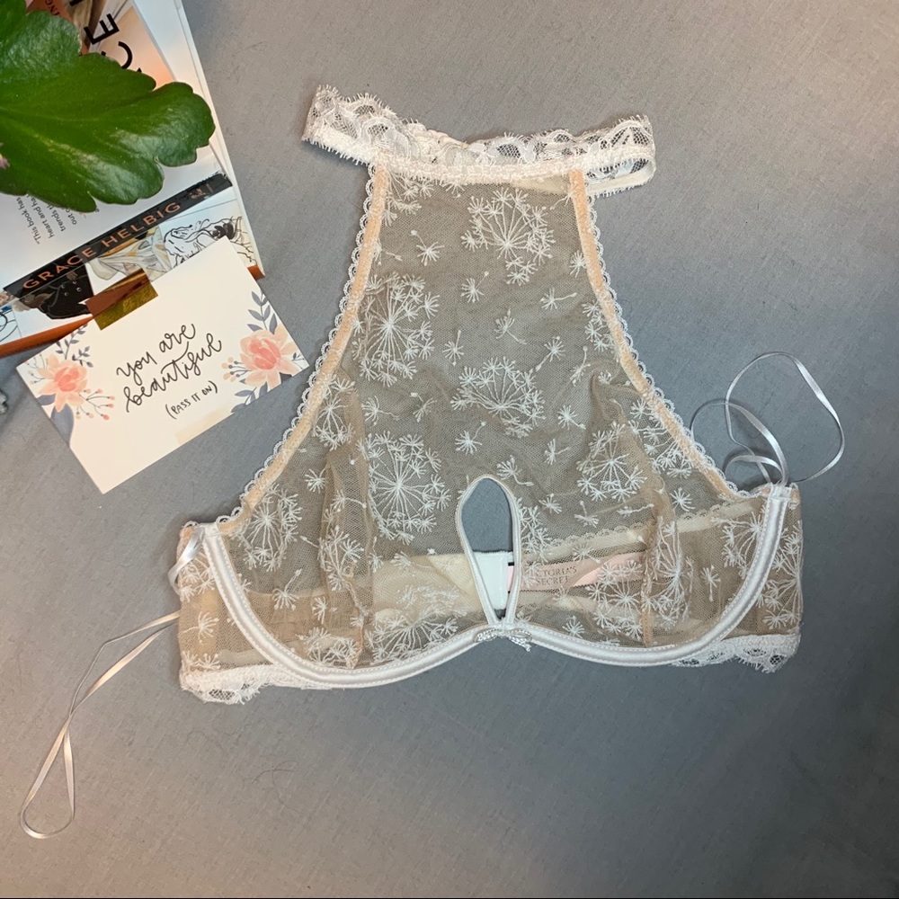 Dandelion Nude Mesh Lace Halter Underwire Bra • VS
